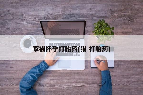 网上买打胎药联系方式微信，家猫怀孕打胎药(猫 打胎药)